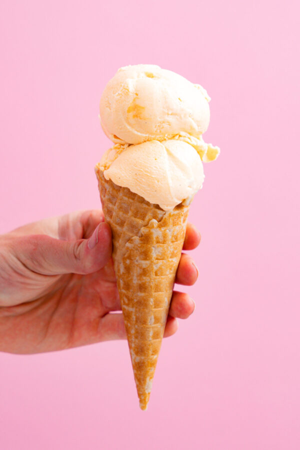 Coco Pineapple Sorbet