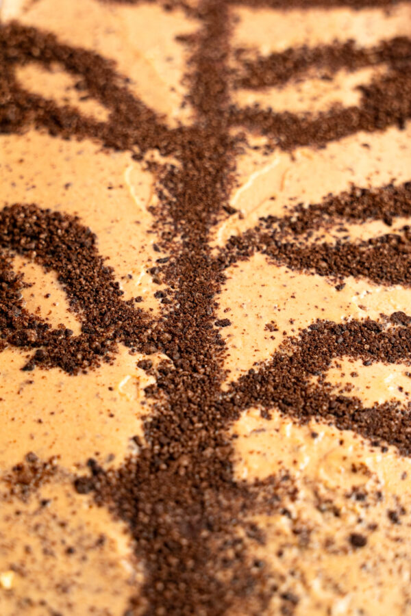Vietnamese Coffee Oreo